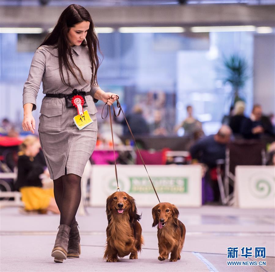 立陶宛和韩国举办精彩对决,无人可挡 立陶宛和韩国举办精彩对决,无人可挡